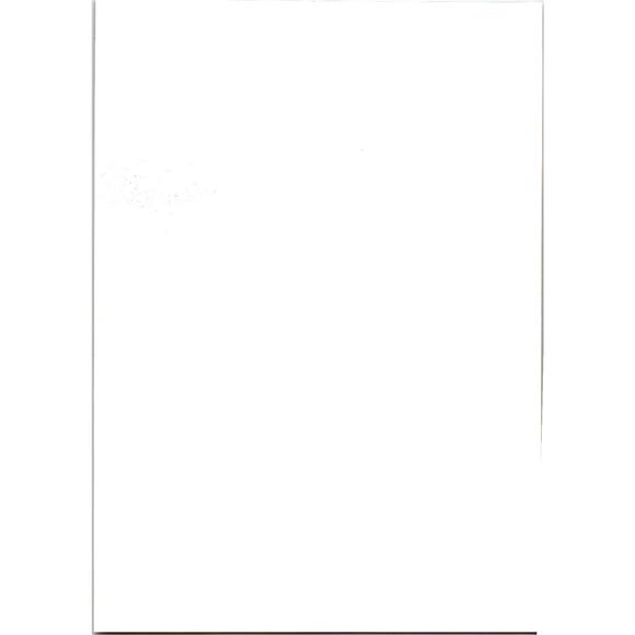 1994 Blood Warrior Arcade Game Flyer Kaneko Japan Martial Arts Combat - Picture 2 of 2